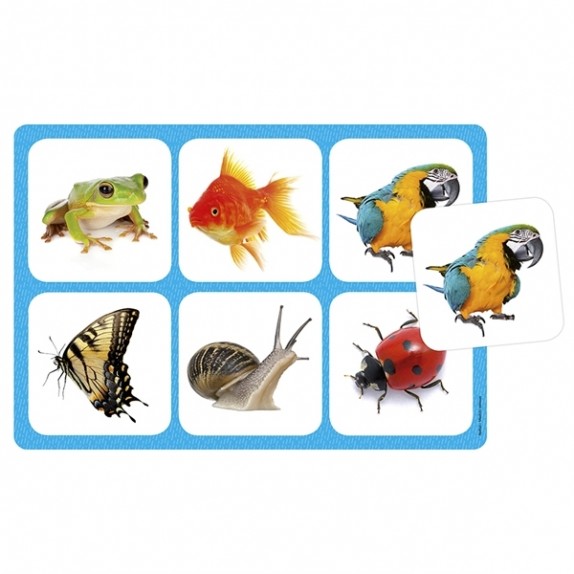 ΕΚΠΑΙΔΕΥΤΙΚΕΣ ΚΑΡΤΕΣ "ΒΡΙΣΚΩ ΤΑ ΖΩΑ " - ΕΛΛΗΝΙΚΕΣ ΟΔΗΓΙΕΣ